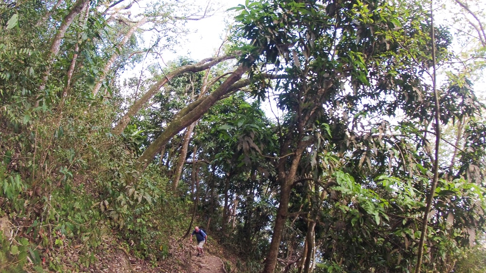 This climb of Gros Piton is steep