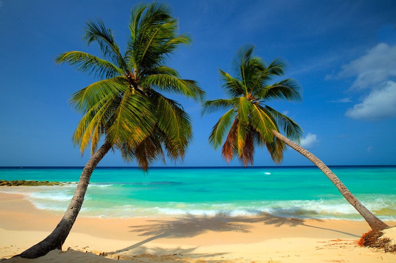 Brochure Photography - A Dream Come Ture image of a beautiful beach in Barbados