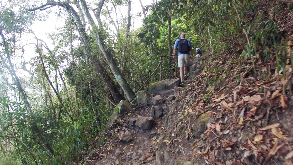 Early on in the climb of Gros Piton the trail is fairly flat with the odd incline