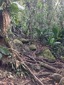 The path up and boulders