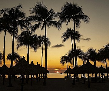 Beach at Marriott Aruba